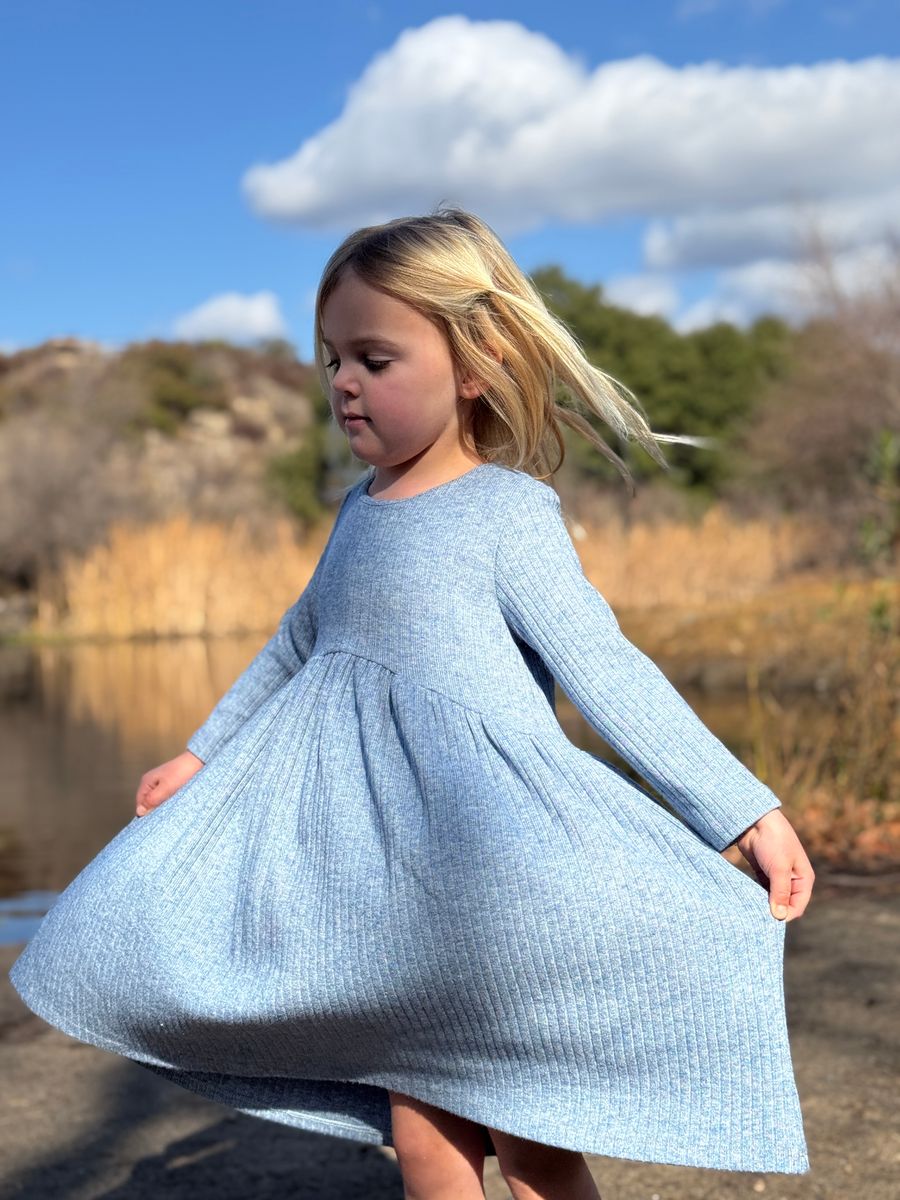 Vignette Charlotte Dress in Blue