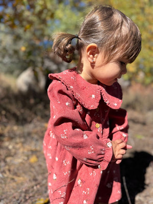 Vignette Sylvie Dress in Cranberry Floral