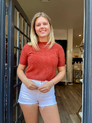 Autumn Cashmere Cropped Short Sleeve Crew in Ginger