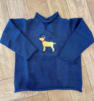 A Soft Idea Valentine's Retriever Roll Neck Sweater in Navy