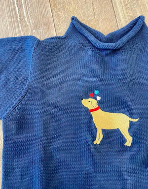 A Soft Idea Valentine's Retriever Roll Neck Sweater in Navy