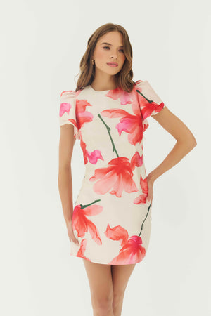 Hutch Vatti Dress in Ivory/Red Floral
