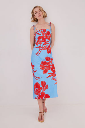 Cara Cara Chelsea Dress in Floral Shadow Sky