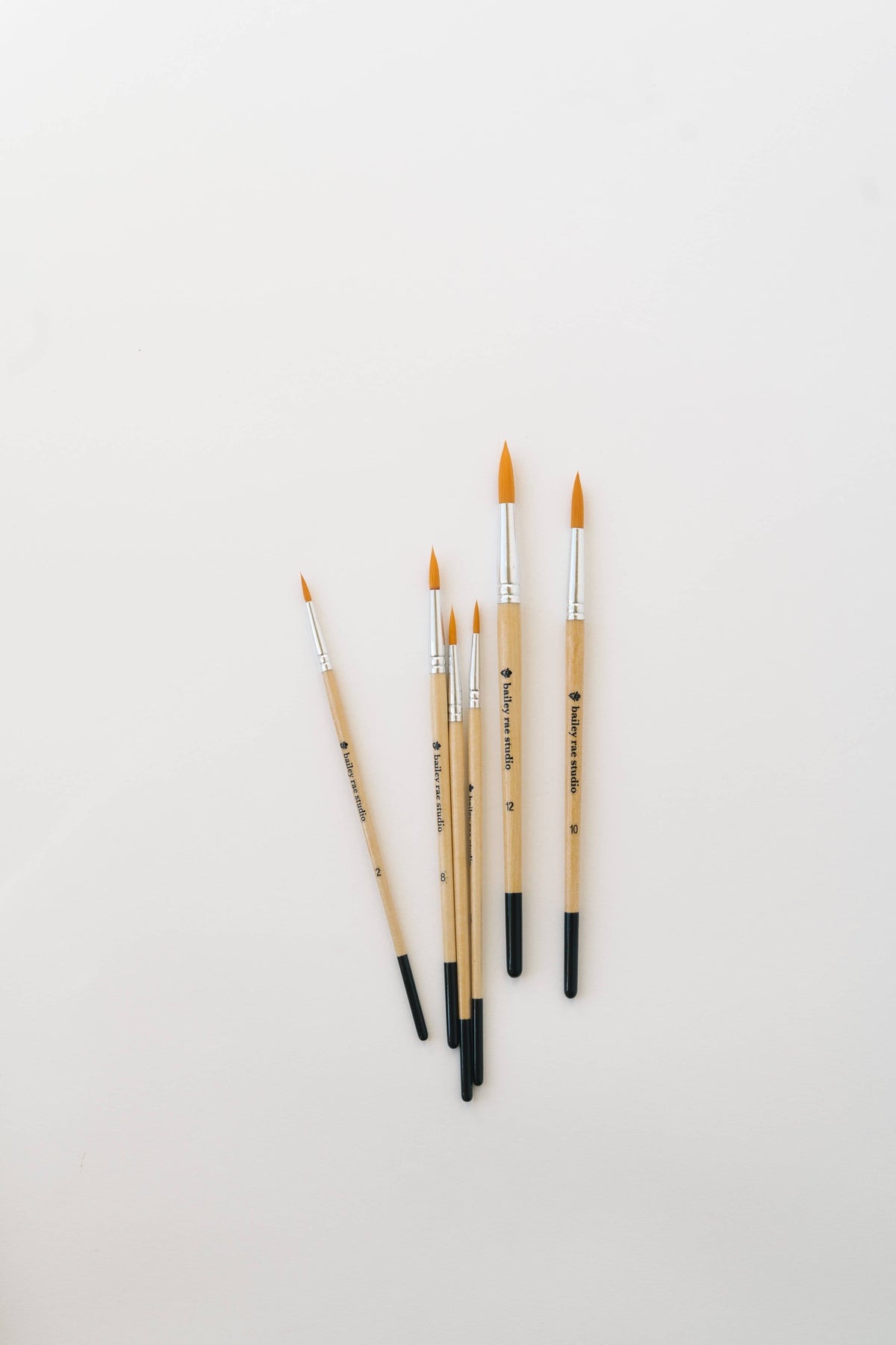 Bailey Rae Studio 6 Piece Round Tip Watercolor Brush Set