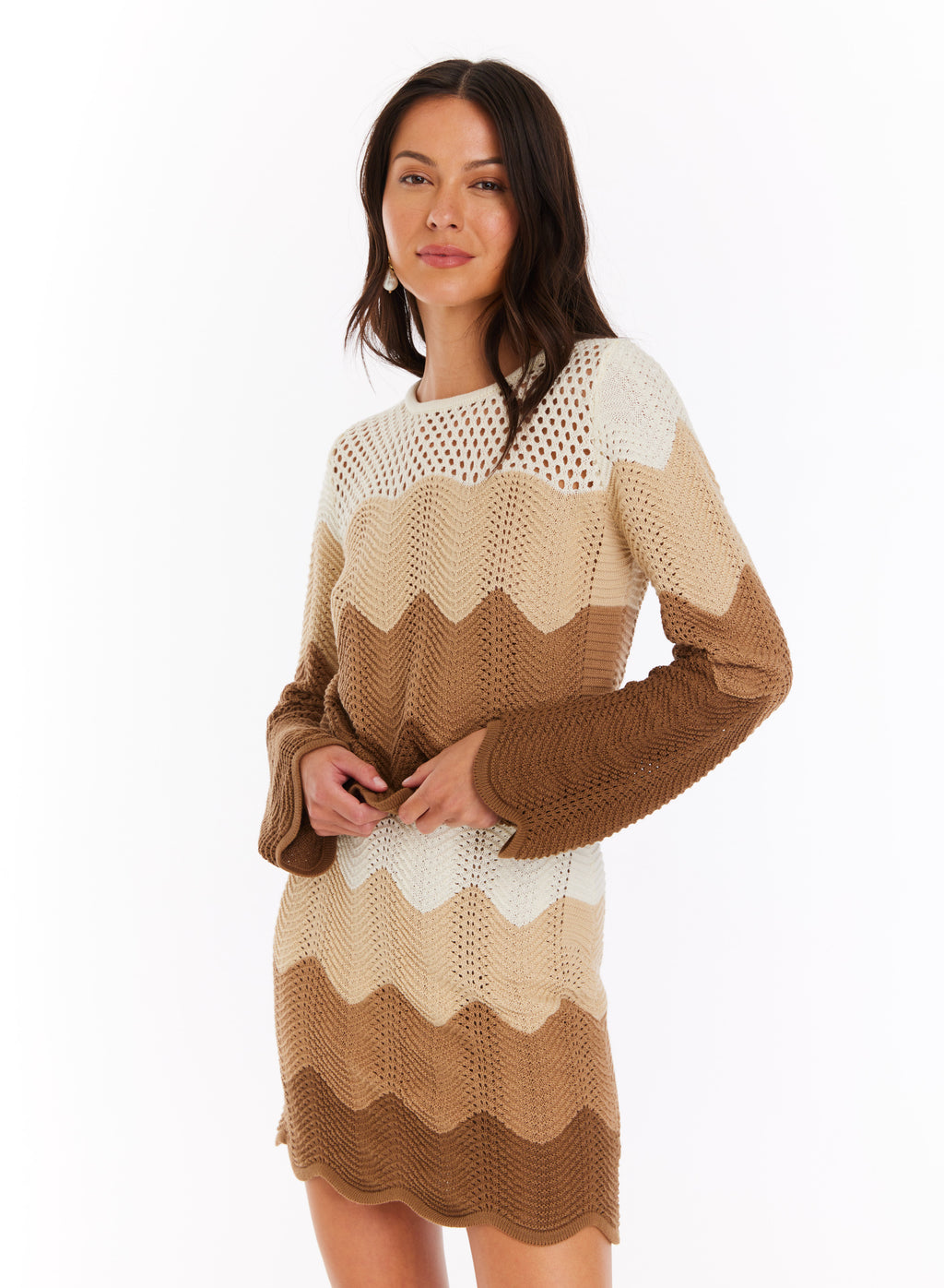Allison Parla Pullover Top in Taupe Ombre