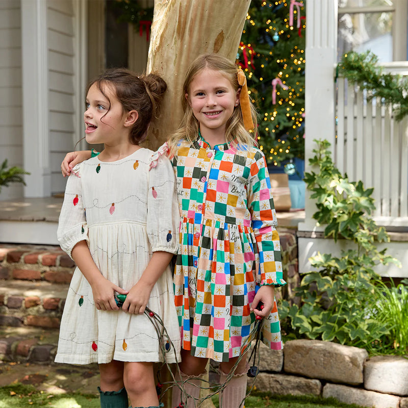 Pink Chicken Brooke Dress in Christmas Lights