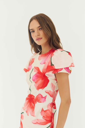 Hutch Vatti Dress in Ivory/Red Floral