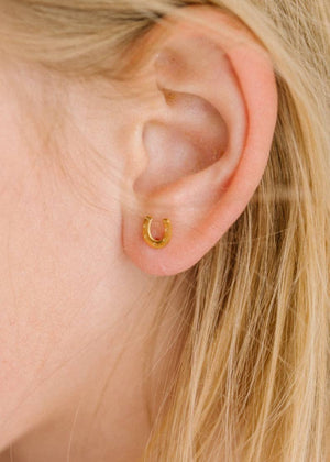 Pierced Co Lucky You Horseshoe Studs