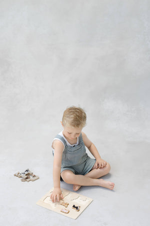 Paige Tate Farm Animals Wooden Puzzle: A Tabitha Paige Puzzle