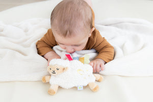 Pearhead Newborn Sensory Learning Toy Set