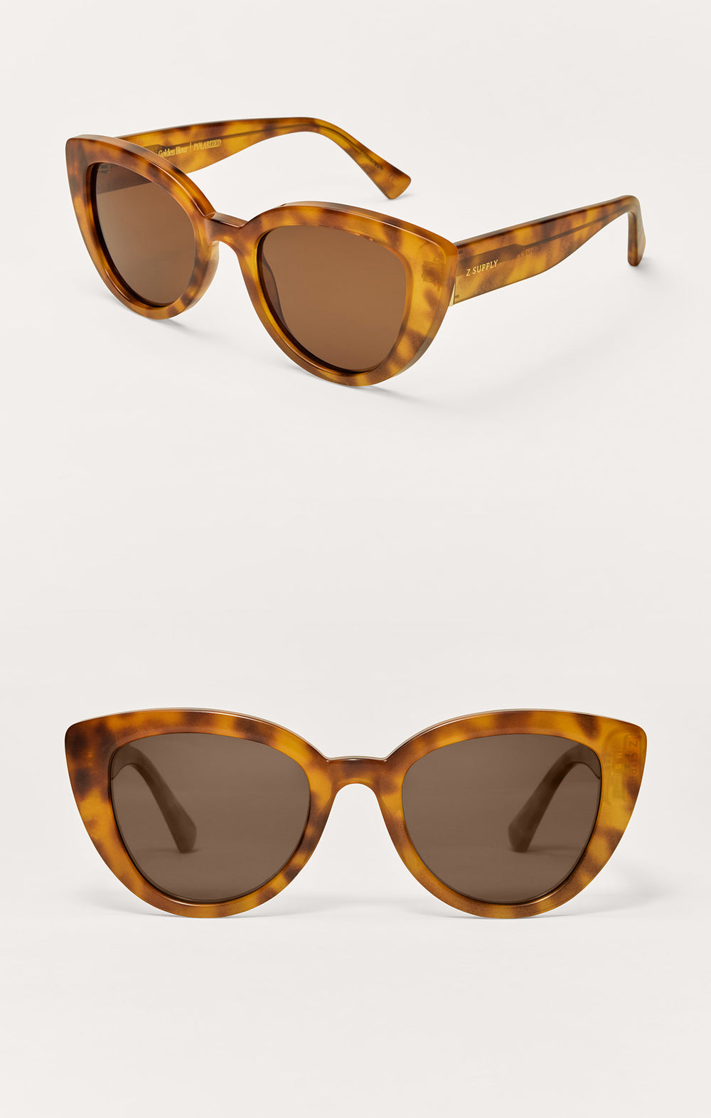 Brown Tortoise
