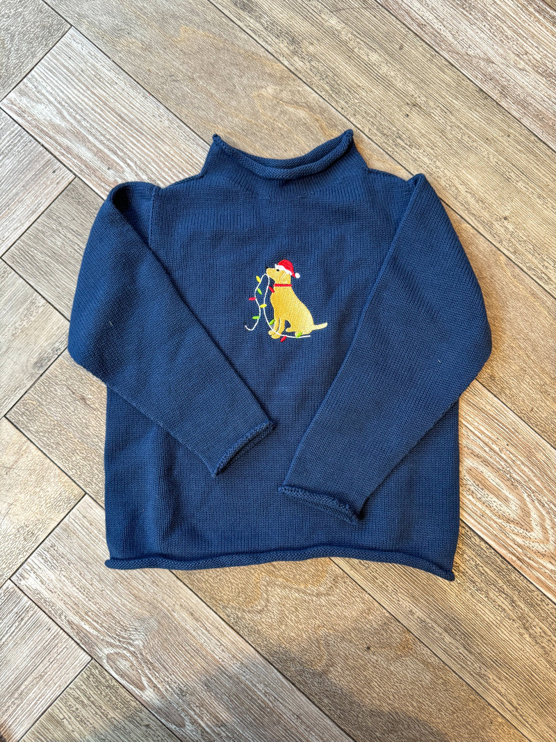 A Soft Idea Roll Neck Sweater in Navy with Dog with Holiday Lights