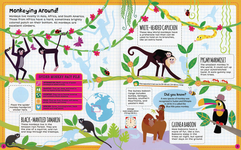 Kane Miller Jungle Sticker Facts Book