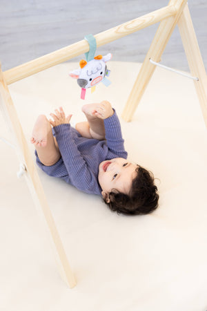 Pearhead Newborn Sensory Learning Toy Set