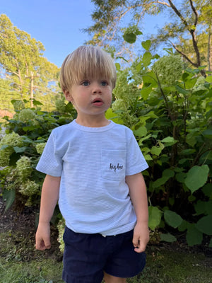 Joy Street Kids Big Bro T-Shirt in Light Blue Stripe