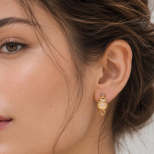 Tai Jewelry - Ombre Small Hoop Earring