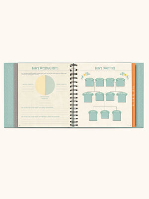 Studio Oh! Guided Journal - Bump For Joy!
