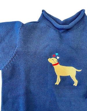 A Soft Idea Valentine's Retriever Roll Neck Sweater in Navy