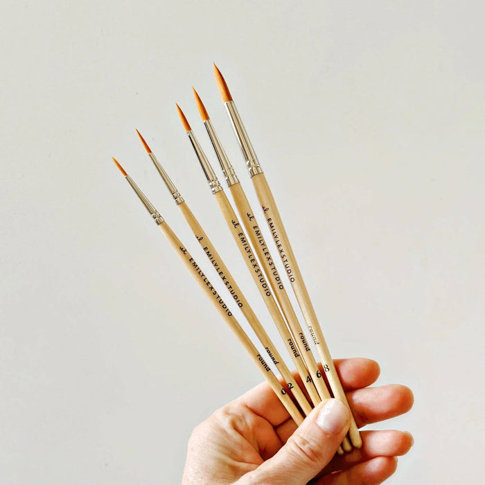 emily lex studio Watercolor Paintbrush Set