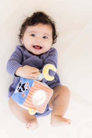 Pearhead Newborn Sensory Learning Toy Set