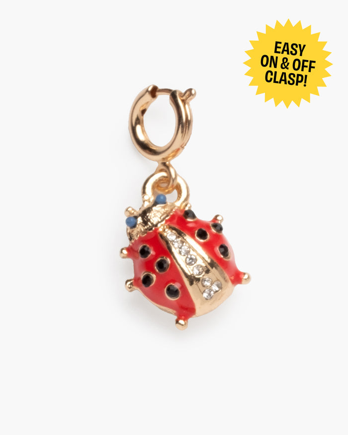 Lucky Ladybug