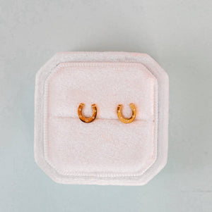 Pierced Co Lucky You Horseshoe Studs