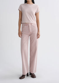 Agolde Adine Shrunken Tee in Wallflower