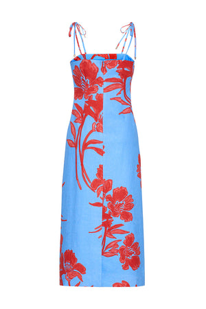 Cara Cara Chelsea Dress in Floral Shadow Sky