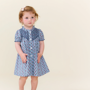 Pink Chicken Lucia Dress Set in Light Blue Carnations
