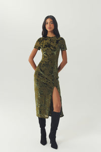 Olive