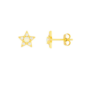 fyb Opal Star Studs in Gold