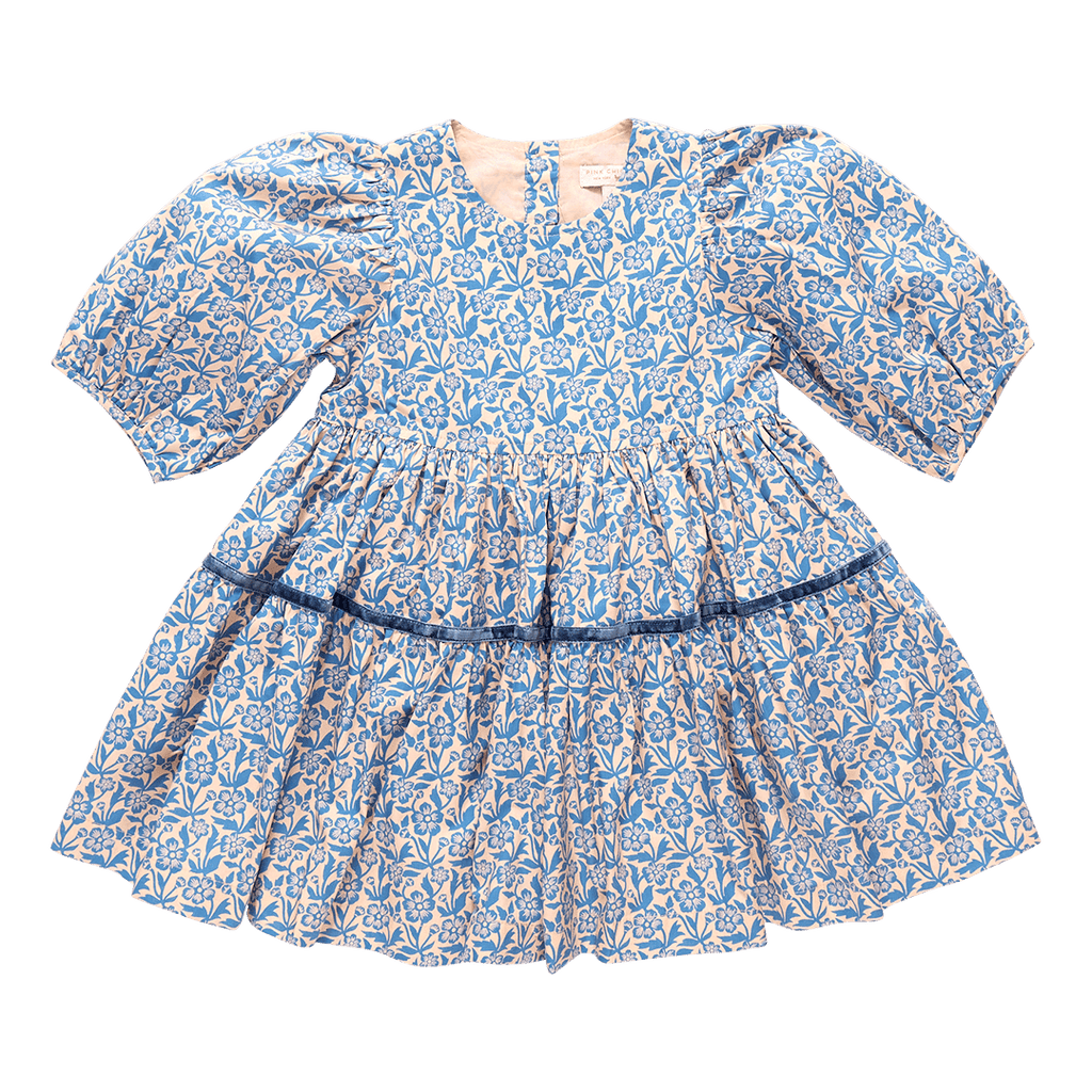 Pink Chicken Maribelle Dress in Blue Climbing Floral