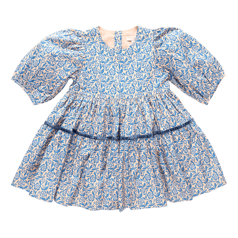 Pink Chicken Maribelle Dress in Blue Climbing Floral