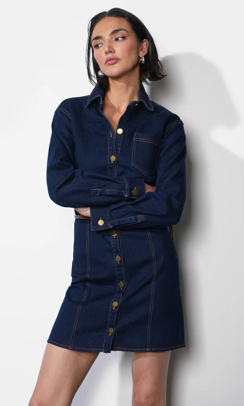 Greylin Calista Button Up Denim Dress in Indigo