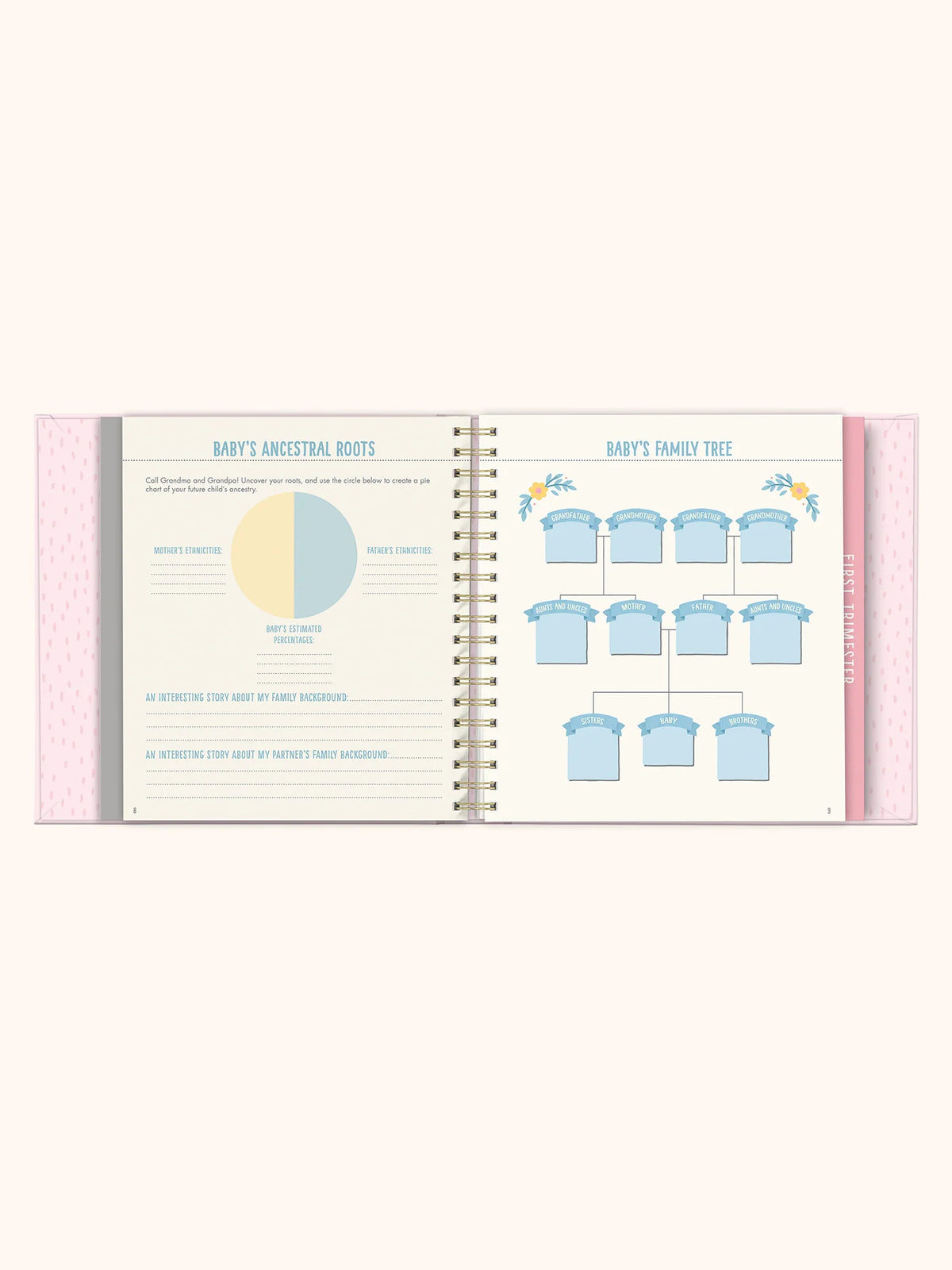 Studio Oh! Bump for Joy: A Pregnancy Journal in Pink