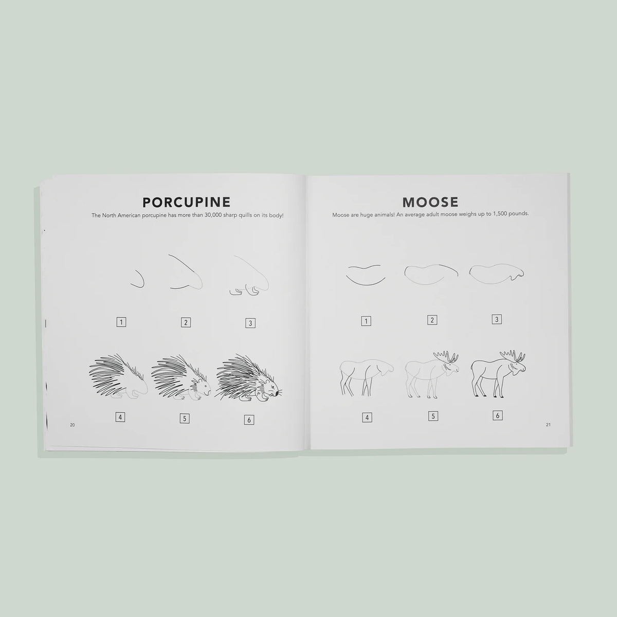 Paige Tate & Co Woodland Creatures: How to Draw Books for Kids