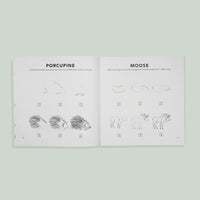 Paige Tate & Co Woodland Creatures: How to Draw Books for Kids