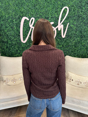 Michael Stars Liyah Collared Top in Molasses