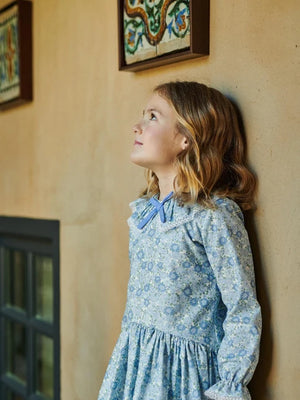 La Coqueta Maribela Drop Waist Dress in Blue Floral