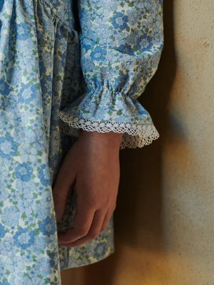 La Coqueta Maribela Drop Waist Dress in Blue Floral