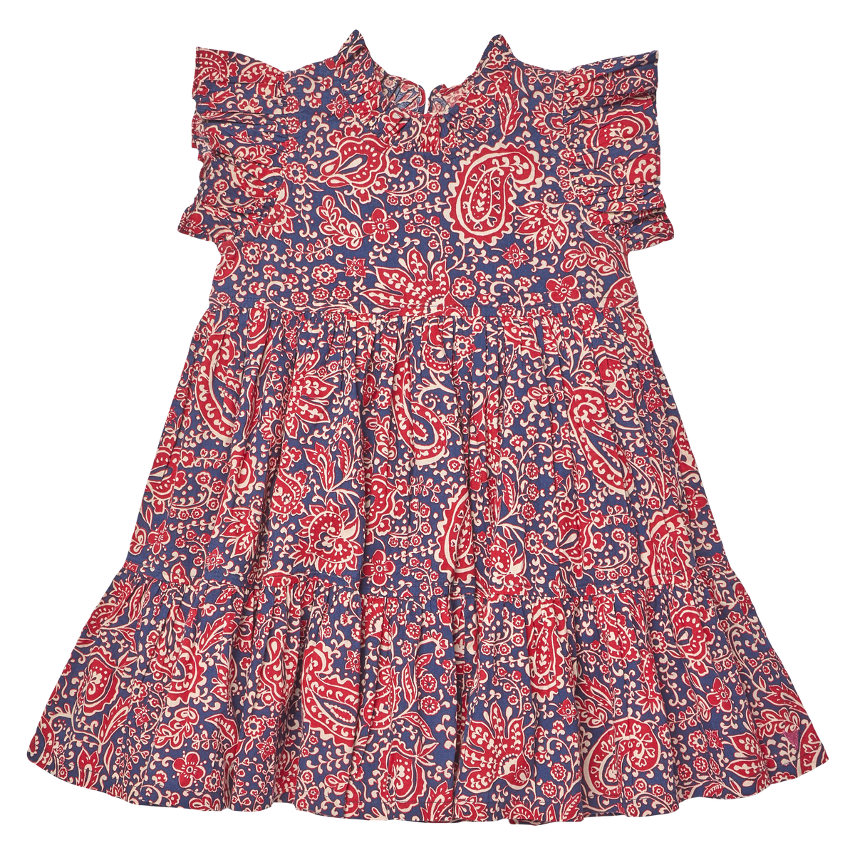 Pink Chicken Jennifer Dress in Paisley Vines