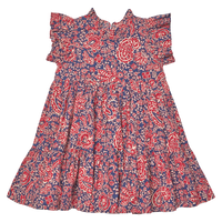 Pink Chicken Jennifer Dress in Paisley Vines