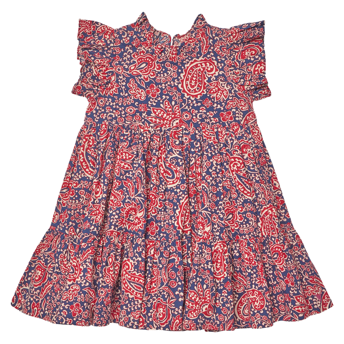 Pink Chicken Jennifer Dress in Paisley Vines