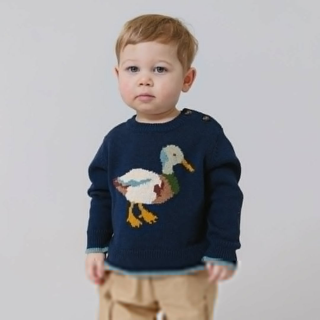 Pink Chicken Baby Oliver Sweater in Mallard