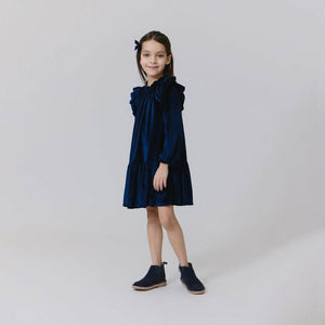 Pink Chicken Velour Harper Dress in Navy