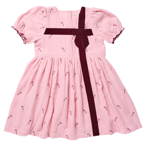 Pink Chicken Girls Liliana Dress in Pink Velvet Bow