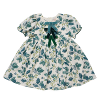 Pink Chicken Girls Hermione Dress in Green Holly