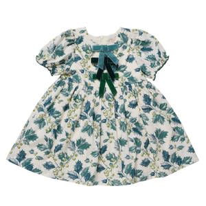 Pink Chicken Girls Hermione Dress in Green Holly