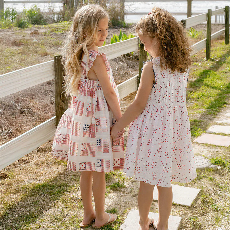 Pink Chicken Waverly Dress in Red Ditsy Stars