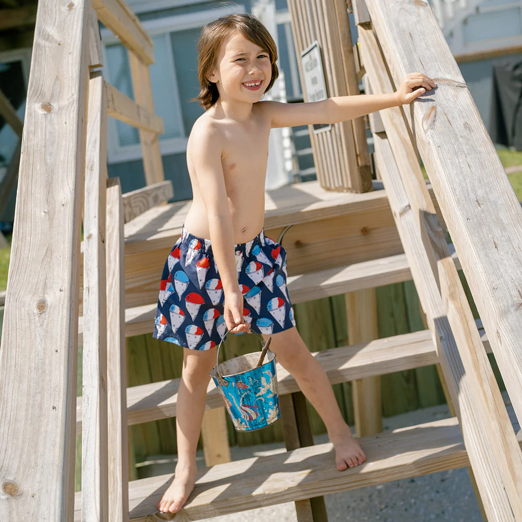 Pink Chicken Boy's Swim Trunk in Snow-Cones
